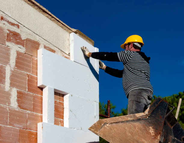Best Insulation Installation Services in Cibecue, AZ